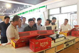 國家發改委來我縣調研蘋果產業 生產創新與電商融合助力市場變革